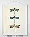 Vintage Three Dragonflies Illustration 11x14 Unframed Poster – Botanical Insect Art, Entomology, Scientific Nature Print, Minimalist Retro Decor for Home, Office, and Living Room, Educational Art