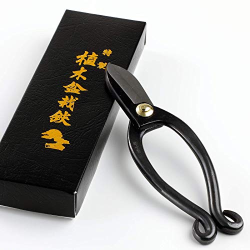 Hanafubuki Wazakura Ikenobo Ikebana Flower Scissors Made in Japan 6