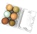 12 Pack Premium Clear Plastic Reusable Half Dozen Egg Container Carton with Labels Holds 6 Large Eggs