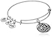 Alex and Ani Aquarius Rafaelian Silver Bangle Bracelet