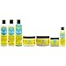 Curls Blueberry Bliss Curl Care All-in-One System - 7 oz pieces