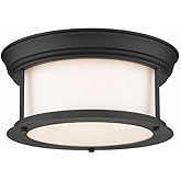 Z-Lite 2 Light Flush Mount 2011F10-MB, Matte Opal, 11" Round