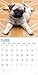 Pugs 2018 16 Month Wall Calendar 12 x 12 inches Bright Day Calendars Publishing