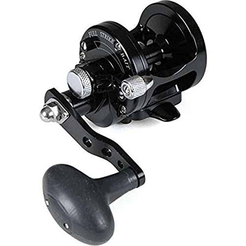 Top 10 Saltwater Fishing Reels Avet of 2020 No Place Called Home