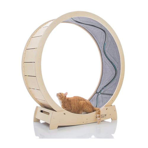 Star Cat Wheel, Cat Treadmill, Exercise Wheel for