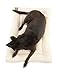 2PET Crate Pad Comfy Cushion Ultra Soft Breathable Crate Mat - Machine Washable and Safe Bed for Dogs, Cats - Lightweight Nap Pad for Dog Kennels and Pet Carriers - 26