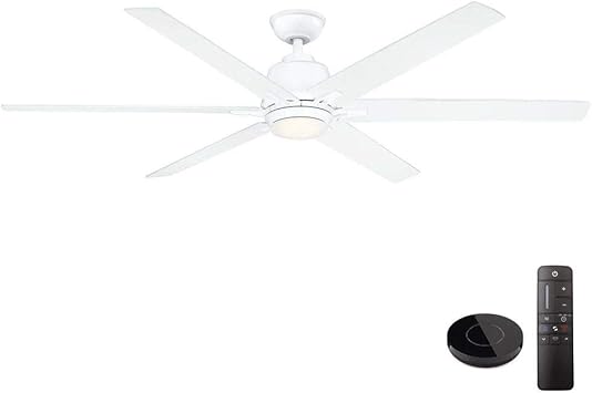 fan google assistant
