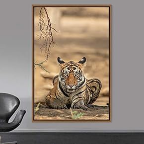 signwin Framed Canvas Wall Art Tiger Animals Chic...