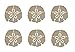 Bauhoo Sand Dollar Shape Unfinished Wood Cut Outs 2.5