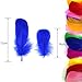 Coceca 500pcs 3-5 Inches Colorful Feathers for Crafts DIY Wedding Home Party Decorations