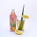 Vivaloe Pink Lemonade Flavor Aloe Beverage - 16.9 Fl. Oz - Pack of 12 - All Natural Aloe Juice.