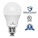 Great Eagle 100W Equivalent LED A19 Light Bulb 1600 Lumens Cool White 4000K Dimmable 14-Watt UL Listed (6-Pack)