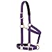 Weaver Leather Padded Breakaway Adjustable Chin and Throat Snap Halter, 1″ Average Horse or Yearling Draft, Purplethumb 2