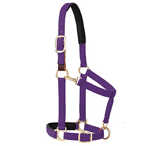 Weaver Leather Padded Breakaway Adjustable Chin and Throat Snap Halter, 1″ Average Horse or Yearling Draft, Purple