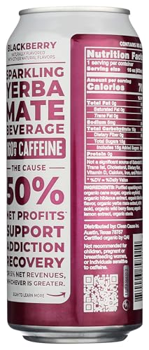 CLEAN CAUSE, YERBA MATE BLACKBERRY ORGANIC, 16 FL OZ