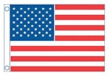 Taylor Made Products 8430 U.S. 50 Star Sewn Boat Flag, 20 x 30 inch