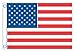 TAYLOR MADE PRODUCTS Sewn American Flag for Boats, 20