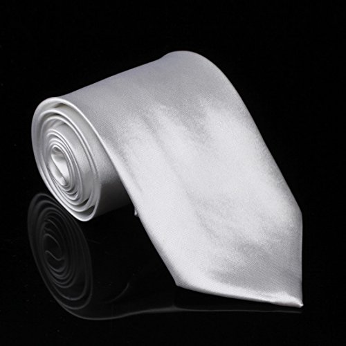 DAA3E01O Pure White Solid Woven Microfiber Tie Elegant Ties Leadership For Groom By Dan Smith