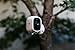 Arlo Pro 2 Home Security Camera System (2 pack) with Siren, Wireless, Rechargeable, 1080p HD, Audio, Indoor or Outdoor, Night Vision, Compatible with Alexa (VMS4230P) (Renewed)