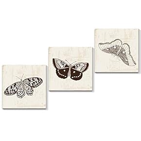 3 Panel Beautiful Butterfly Pictures Home Wall for...