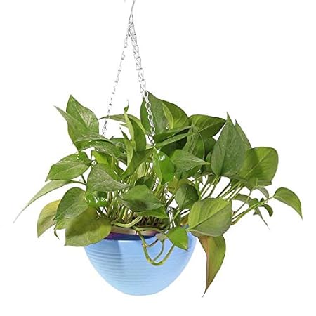Antier 1 Pcs Hanging Chain Planter/Plastic Hanging Basket, Plastic Hanging Flower Pot Color Multi