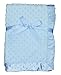 LUXEHOME Super Soft Microfiber Plush Baby Blanket (Blue)