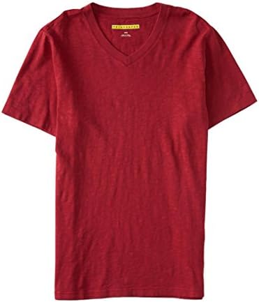 Aeropostale Men's Prince &amp; Fox Surf Wash V-Neck Tee Shirt