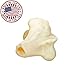White Knuckle Dog Bones (10 Pack) - Bulk Healthy Dog Dental Treats & Natural Chews, Made in The USA, American Made