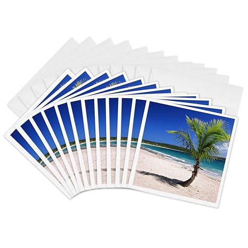 3dRose Greeting Cards - Caribbean, Puerto Rico, Vieques. Lone coconut palm on R…