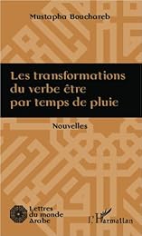 Les  transformations du verbe être par temps de pluie