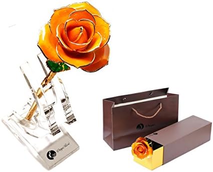 Orange Gold Dipped 24K Plated Real Rose 100% Natural Flower Long Stem Gift for Lover Valentine's Day Mother's Day Wife Daughter Birthday Anniversary Gifts+Stand+Gift Box Foil Trim