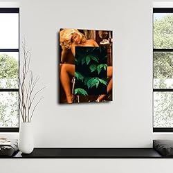Anna Nicole Smith Poster American Sex Symbol, Model