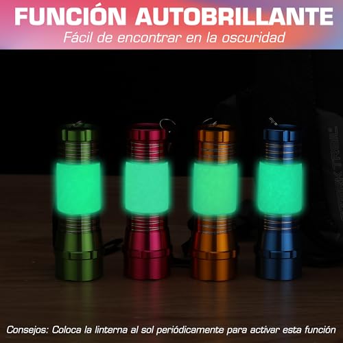 EverBrite 4 x Mini LED Flashlight with Bright Handle, Multi Colours, 12 x Batteries Included, Children's Flashlight in Yellow, Blue, Red, Green, Good Gift for Boys