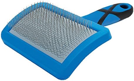 curved slicker brush dogs