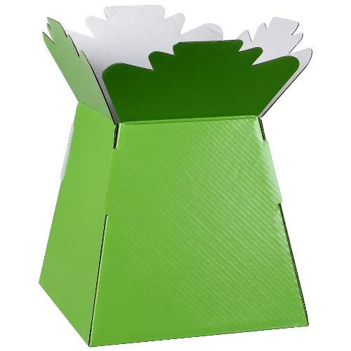 Inerra Florist Boxes Living Vases for Flowers and Bouquet Box Making - Pack of 5 (Lime Green)