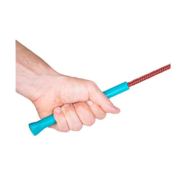 outward hound tail teaser dog flirt pole toy