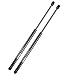 Vepagoo PM2030, 4366 Front Hood Struts Lift Supports for 2002-2007 Jeep Liberty - Gas Charged Rod Shocks Replacement SG314037 SL3685 55360411 8049XS 8196176 (Pack of 2)