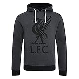 Liverpool FC Autumn-Winter 2017 Cotton/Polyester Grey Mens Liverbird Hoodie Sweatshirt NWT Available Sizes XS,S,M,L,XL,XXL From LFC Official Store