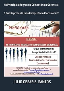 Livro As Principais Regras Da Competência Gerencial