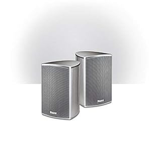 Parent Title Needle Alu Sat, zilver, paar zilver