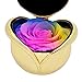 Childom Flower Roses Gifts for Women, Flower Rose Flowers Immortal Flowers Gift for Birthday, Valentine's Day, Thanksgiving Day