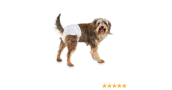 so phresh dog diapers