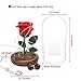 Emyln Beauty and The Beast Rose, Enchanted Rose Flower with 10 LED USB Lights in Glass Dome on a Wooden Base for Lover, Weddings, Anniversaries, (Red) 