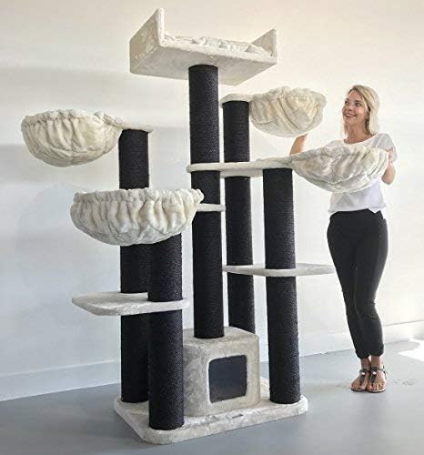 Cat Tree For Large Cats Maine Coon Fantasy Plus With 4 Hammocks Blackline Beige Xxl Extra Big Breed Trees Scratch Post And Adult Towers Furniture Scratcher Activity Centre Amazon Co Uk Pet Supplies