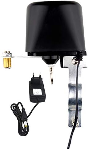 Noblik Controlador de VLvula Inteligente Wifi para Sistema de AutomatizaciN Del Hogar para Control de Voz de Gas o Agua Smart Home Alexa Echo Home Enchufe de la UE