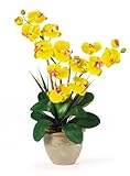 Double Stem Phalaenopsis Silk Orchid Arrangement