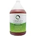 Clearlice® Gallon Size Lice Treatment Shampoo - Natural and Effective One Day Treatment - Get Rid of Lice, Super Lice & Nits - Essential Oils & Healthy Enzyme - Skin Friendly, SLS Free - 128 oz