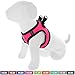 Pawtitas Dog Vest Harness Made with Breathable Air Mesh | All Weather Vest Harness for Extra Small Puppies and Cats with Quick-Release Buckle - Extra Small Pink Mesh Dog Harness