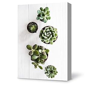 Plant Succulents Plant Office Painting Wall Poster Decor...