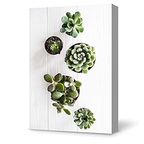 Canvas Wall Art Plant Succulents Plant Office Canvas Painting Wall Poster Decor for Living Room Wooden Framed Home Decorations - 12x18 inches